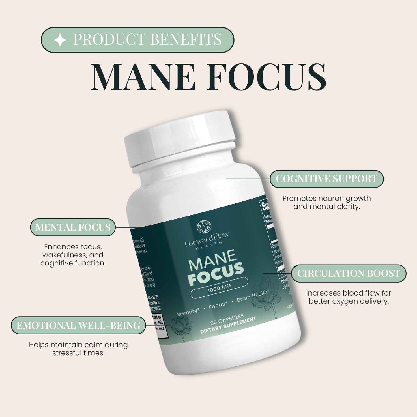 Mane Focus